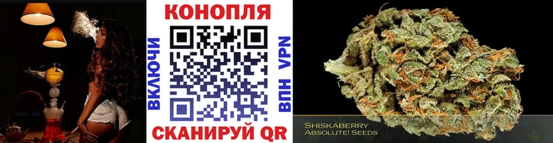 Продажа наркотиков Зуевка МЕГА как зайти  Cocaine  ГАШ  Мефедрон  Марихуана  А ПВП 