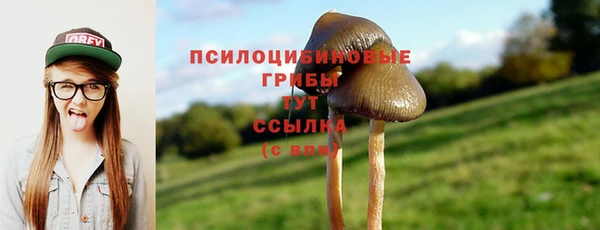 таблы Аркадак